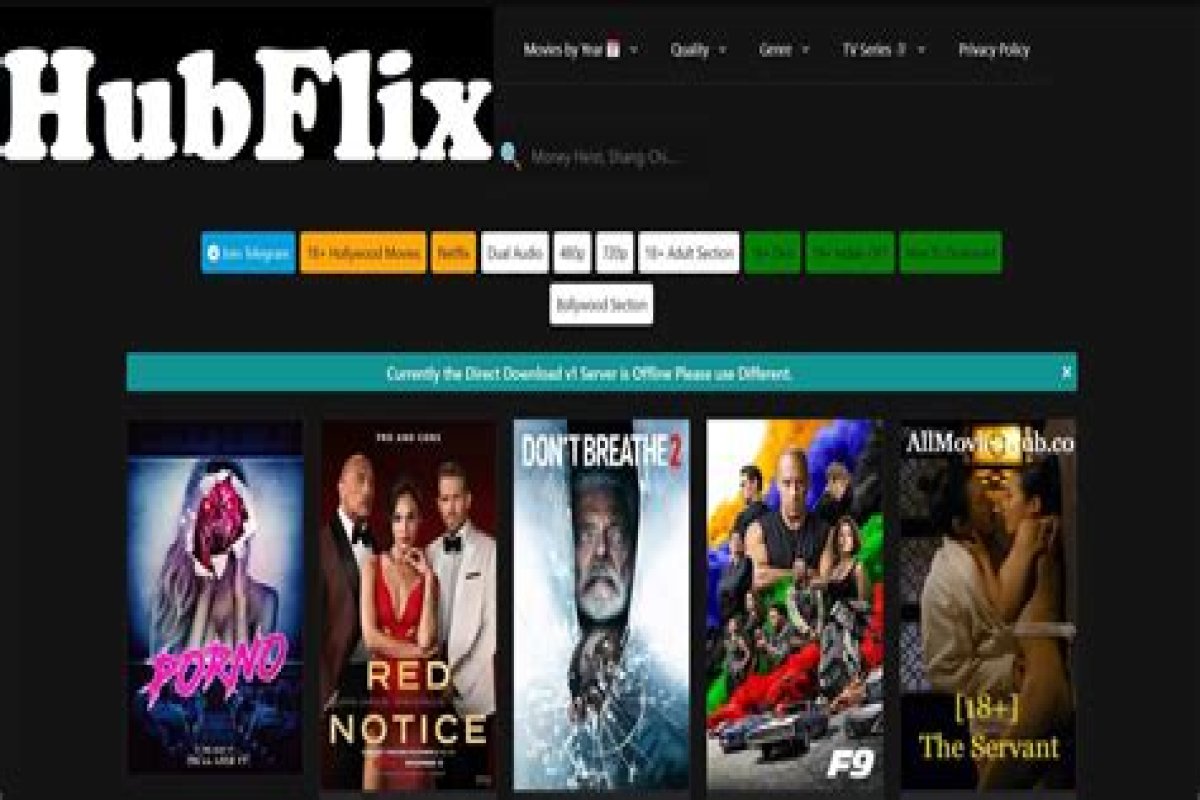 Hubflix 300: The Ultimate Streaming Experience