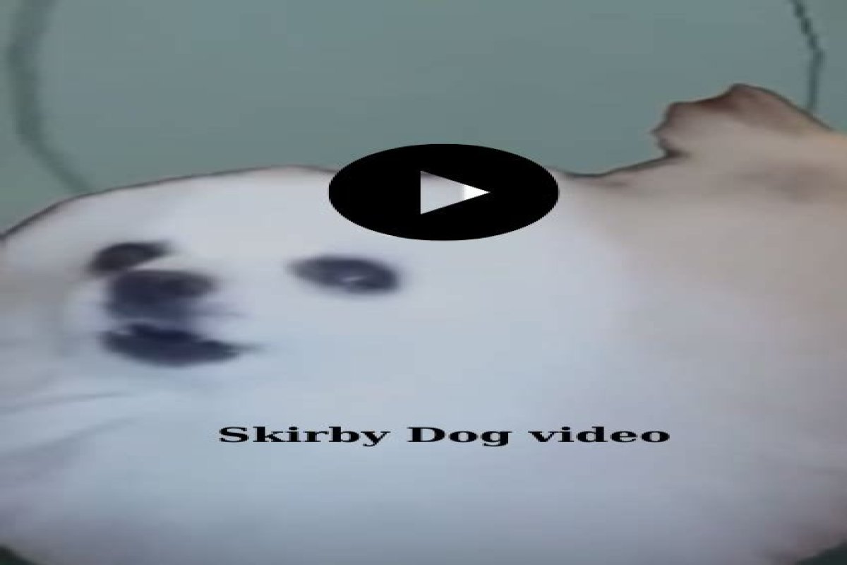 Skirby Dog Video Full: A Comprehensive Guide to the Viral Sensation Skirby Dog Video Full: A Comprehensive Guide to the Viral Sensation